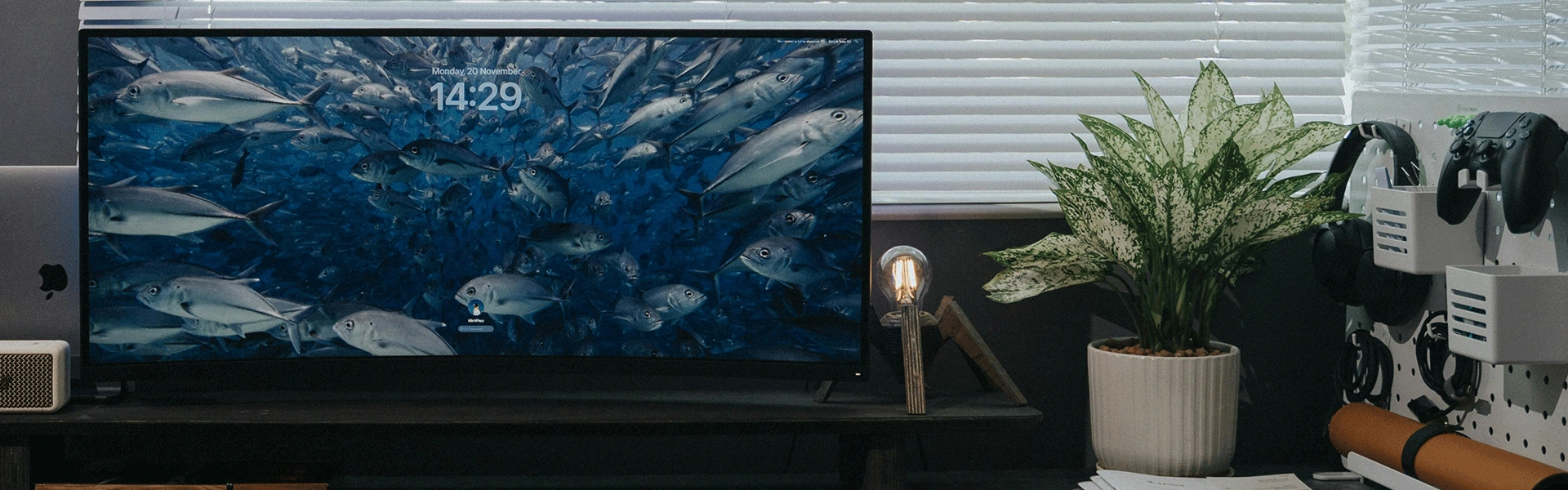 Monitors and Displays